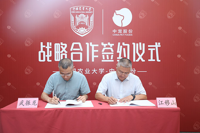 �ŵ�88(�й���)�ٷ���վ