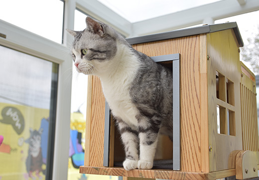 �ŵ�88(�й���)�ٷ���վ