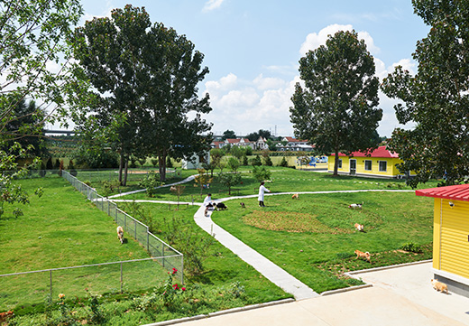 �ŵ�88(�й���)�ٷ���վ