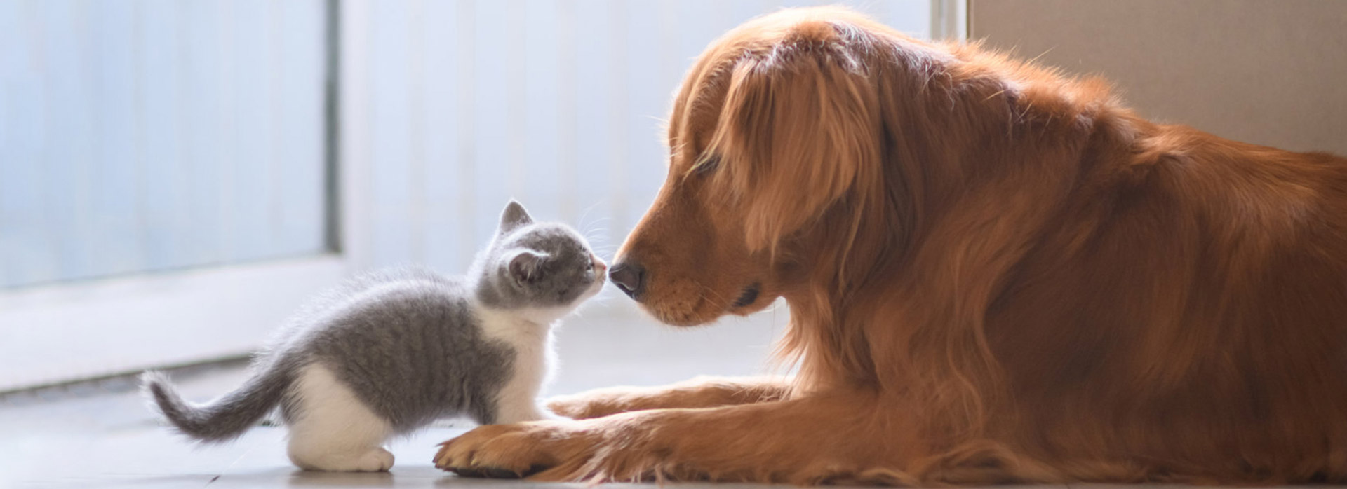 �ŵ�88(�й���)�ٷ���վ