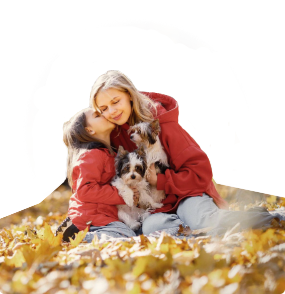 �ŵ�88(�й���)�ٷ���վ