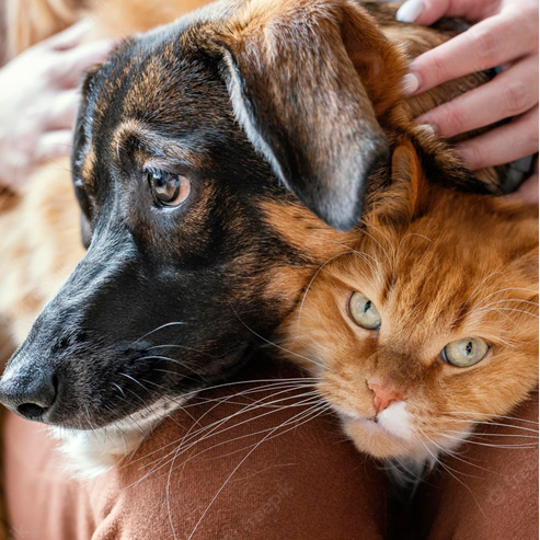 �ŵ�88(�й���)�ٷ���վ