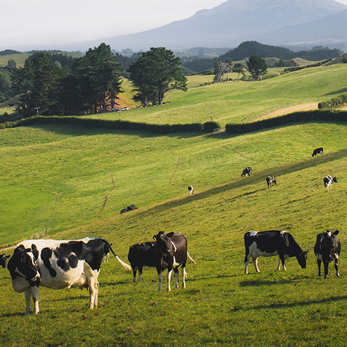 �ŵ�88(�й���)�ٷ���վ