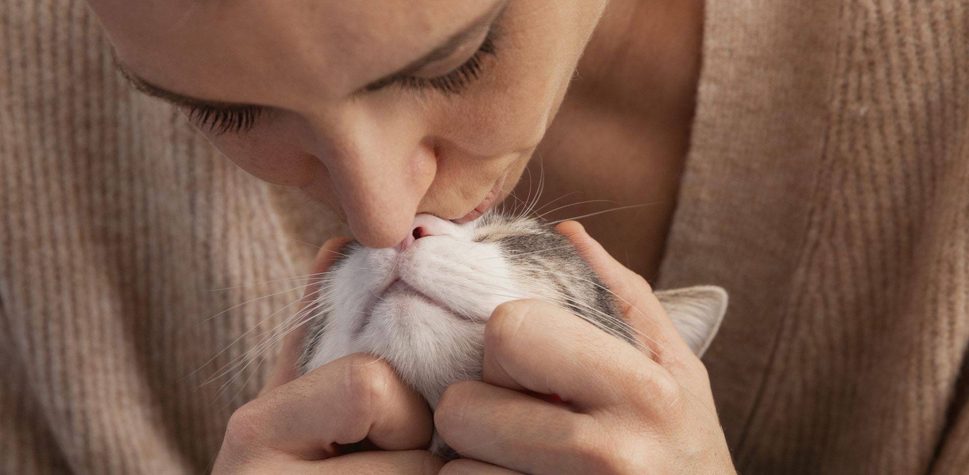 �ŵ�88������վʳ��ɷ����޹�˾