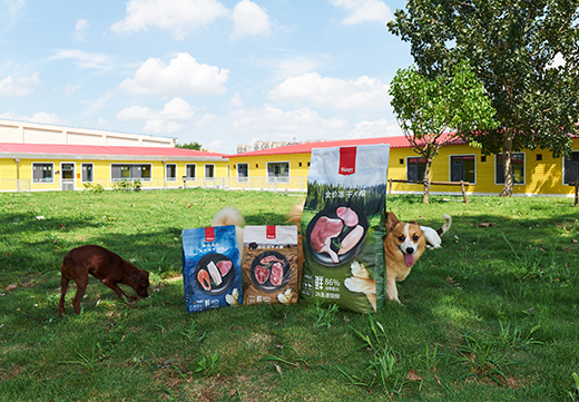 �ŵ�88(�й���)�ٷ���վ