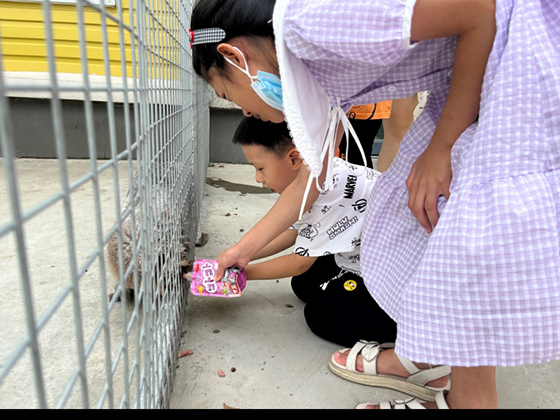 �ŵ�88(�й���)�ٷ���վ