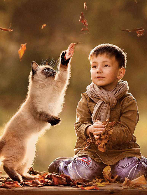 �ŵ�88(�й���)�ٷ���վ