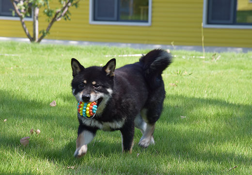 �ŵ�88(�й���)�ٷ���վ